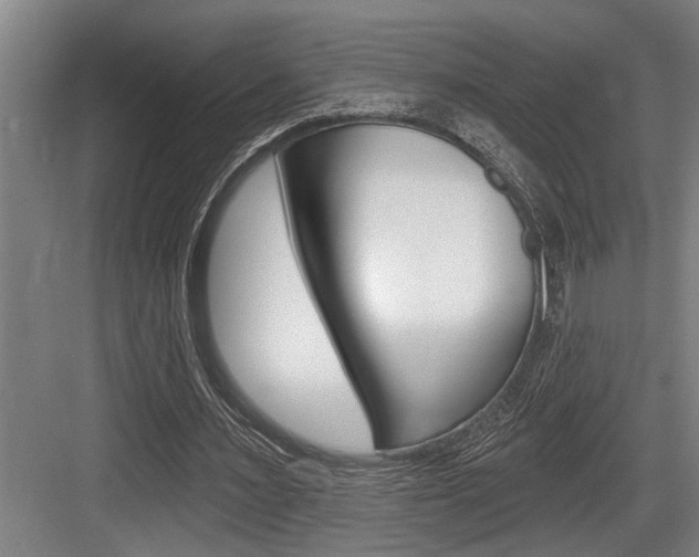 X0000083650483200702120840