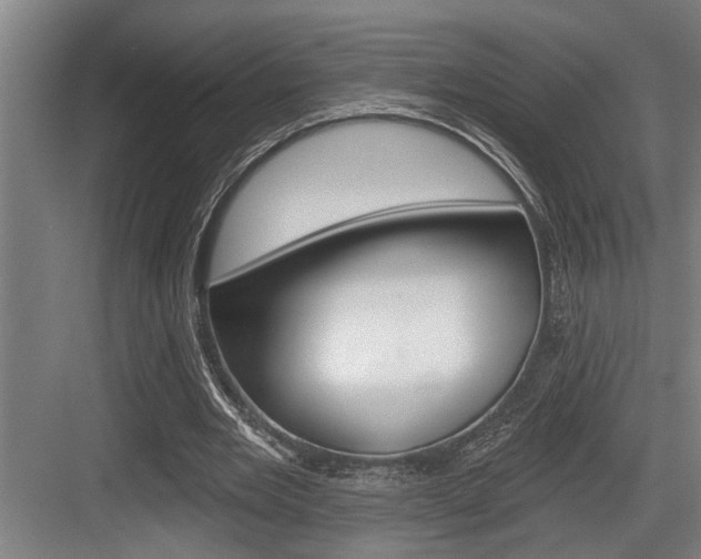 X0000083650485200702120840