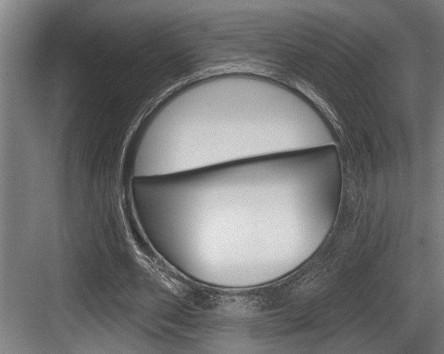 X0000083650486200702120840