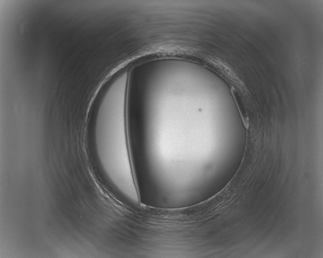 X0000083650488200702120840