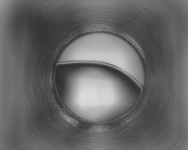X0000083650489200702120840