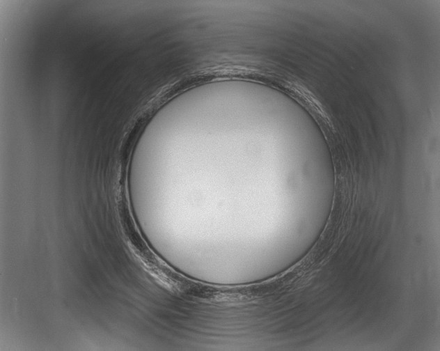 X0000083650490200702120840