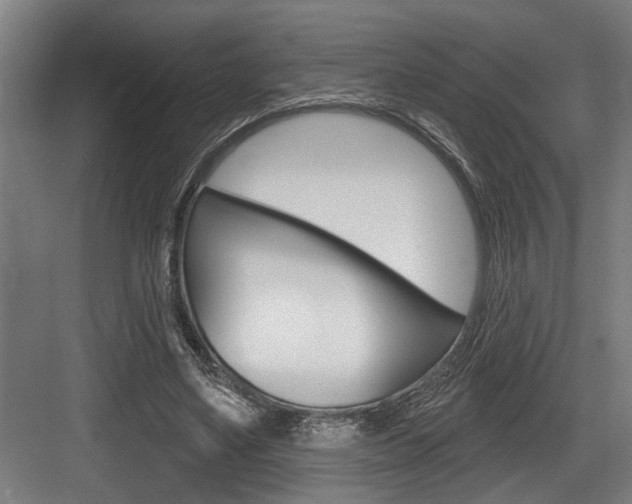 X0000083650491200702120840