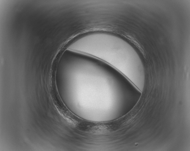 X0000083650492200702120840