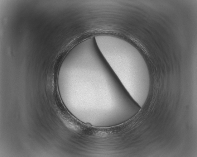 X0000083650494200702120840