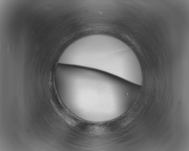 X0000083650498200702120840