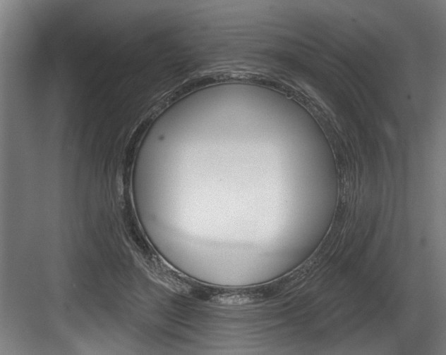 X0000083650500200702120840