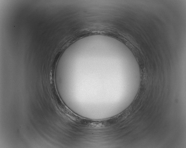 X0000083650502200702120840