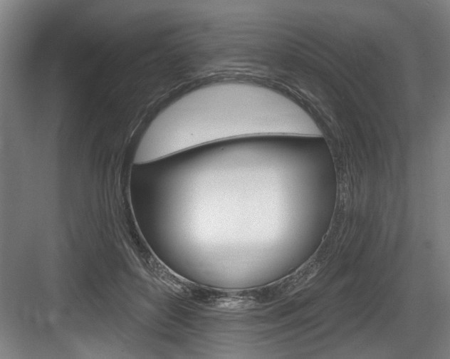X0000083650504200702120840