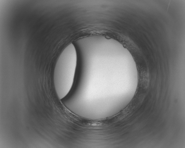 X0000083650506200702120840
