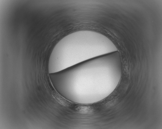 X0000083650507200702120840