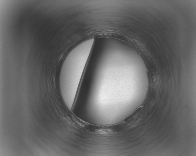 X0000083650508200702120840
