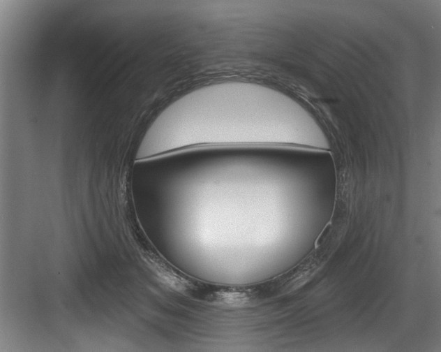 X0000083650509200702120840