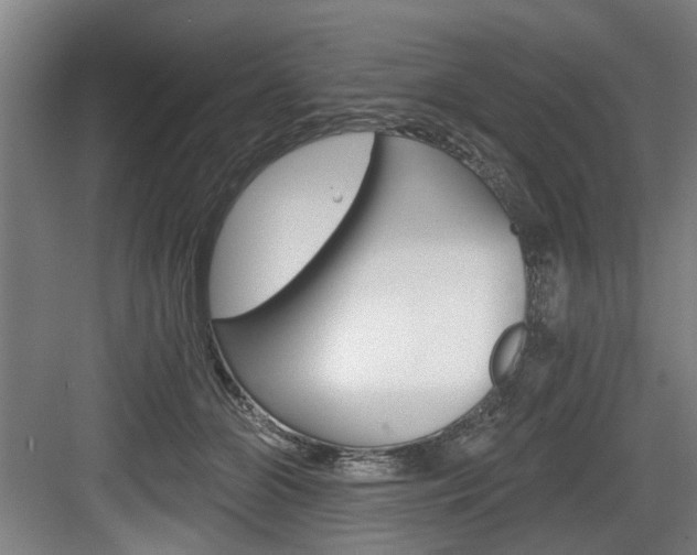 X0000083650510200702120840