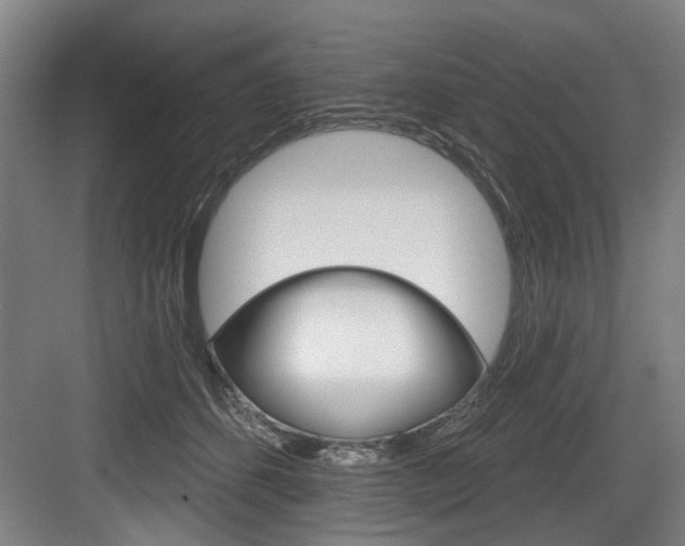 X0000083650512200702120840