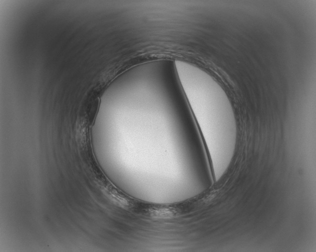 X0000083650513200702120840