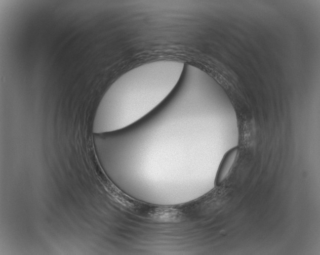 X0000083650514200702120840