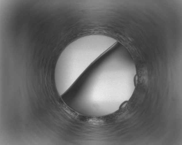 X0000083650515200702120840