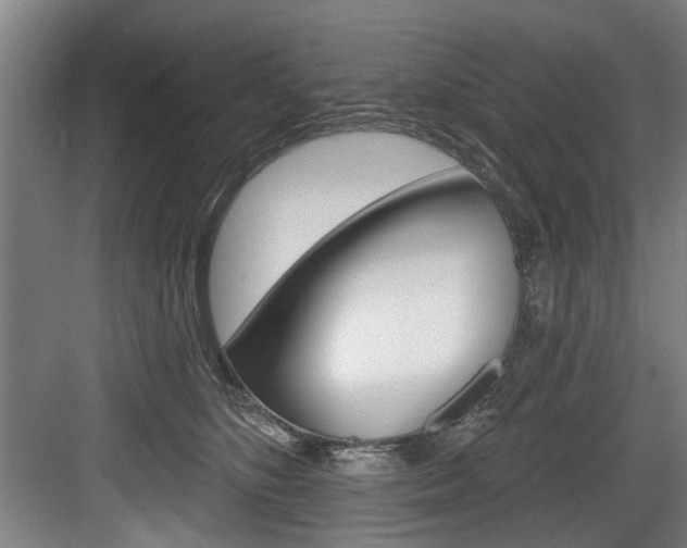 X0000083650516200702120839
