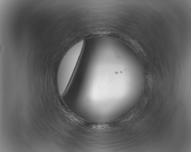 X0000083650517200702120839