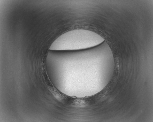 X0000083650519200702120839