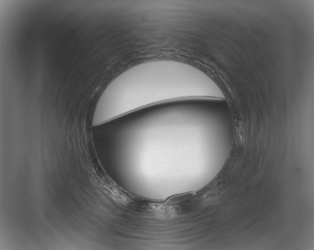 X0000083650520200702120839