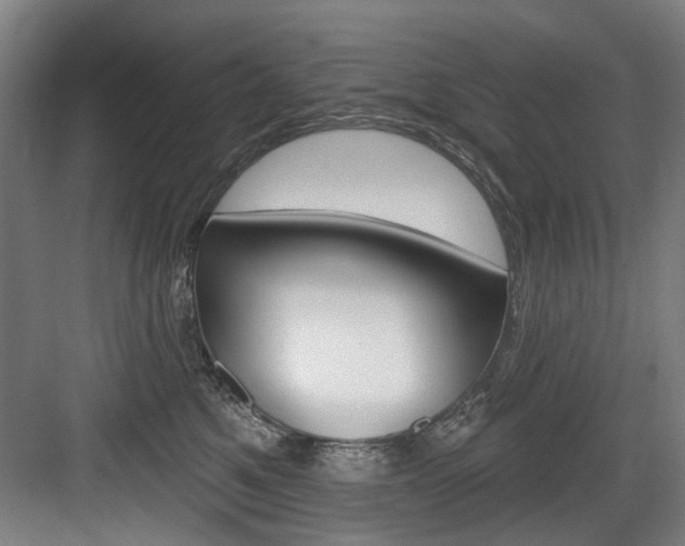 X0000083650521200702120839