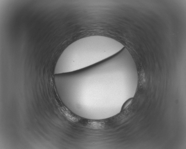 X0000083650522200702120839