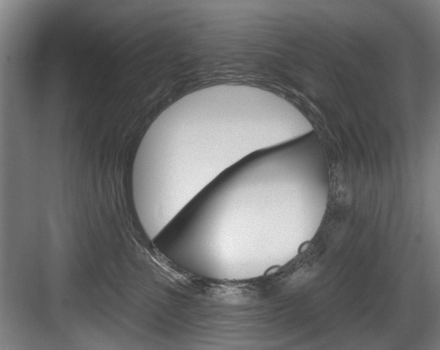X0000083650523200702120839