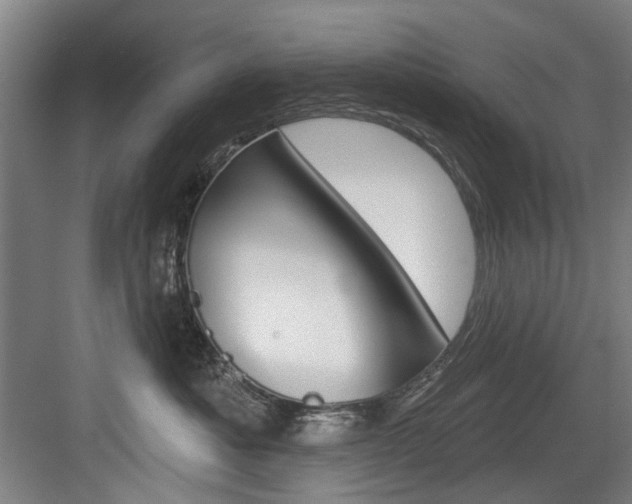 X0000083650525200702120839