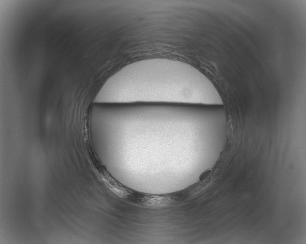 X0000083650527200702120839