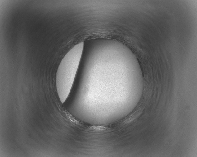 X0000083650528200702120839