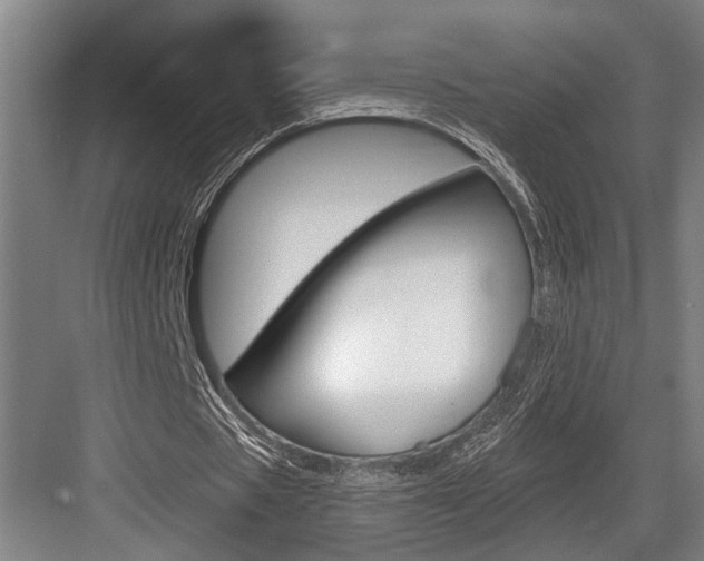 X0000083650529200702120838
