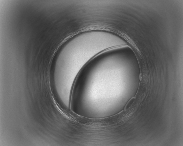 X0000083650530200702120838