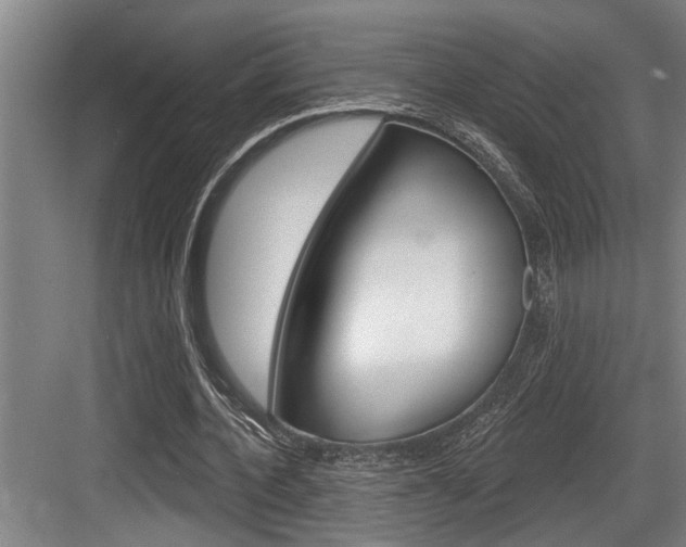 X0000083650532200702120839