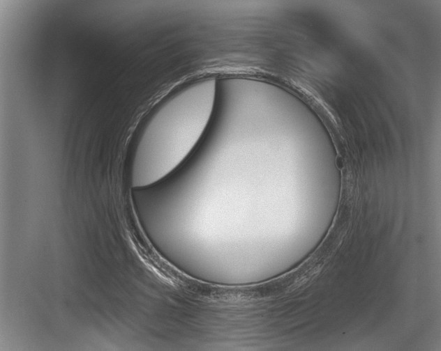 X0000083650533200702120839