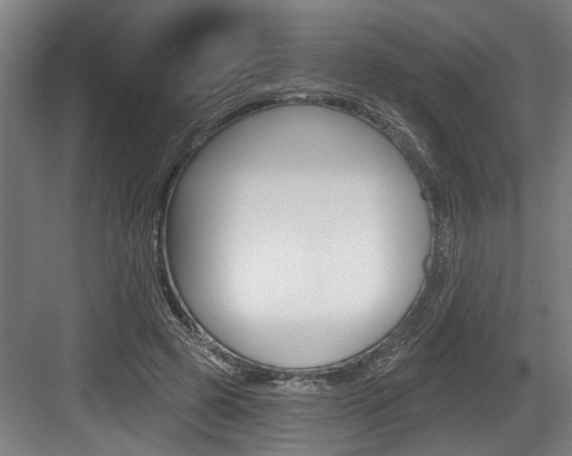 X0000083650545200702120839