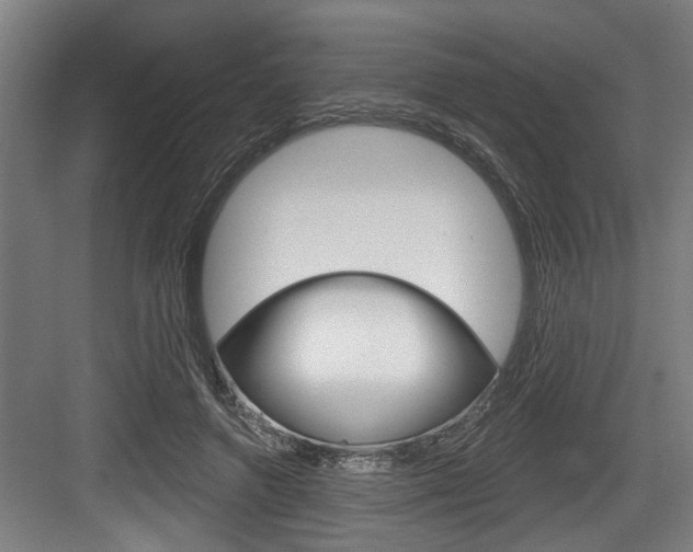 X0000083650546200702120839