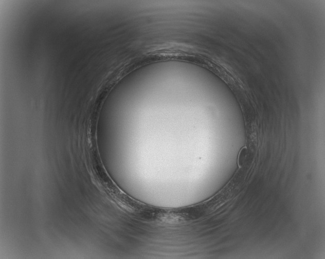 X0000083650547200702120839