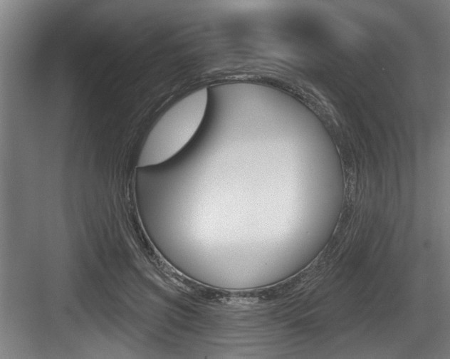 X0000083650549200702120839
