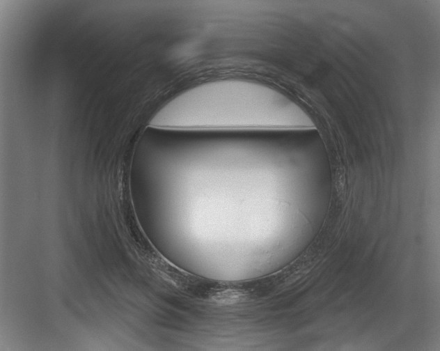X0000083650551200702120839
