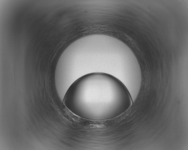 X0000083650552200702120839