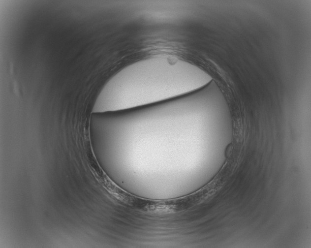 X0000083650553200702120839
