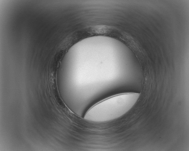 X0000083650555200702120839