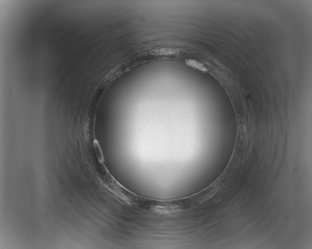 X0000083650556200702120839