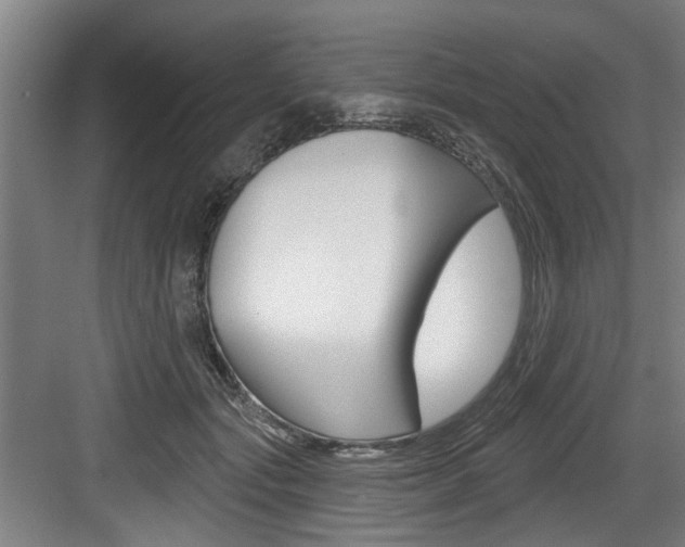 X0000083650557200702120839