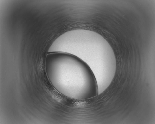 X0000083650560200702120839