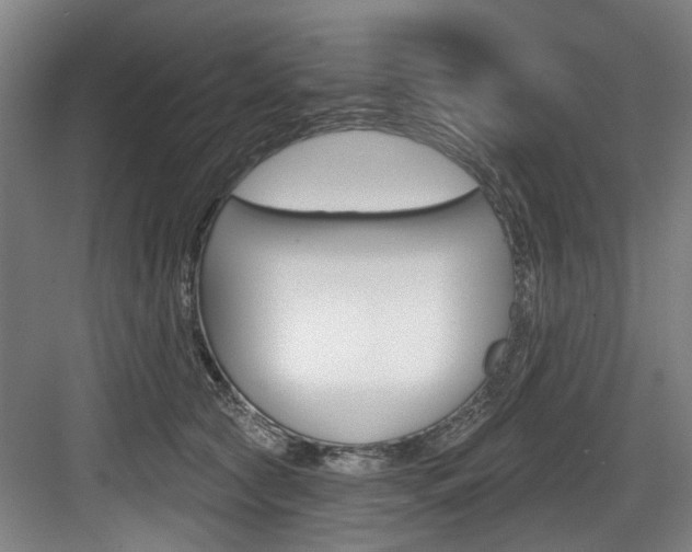 X0000083650561200702120839