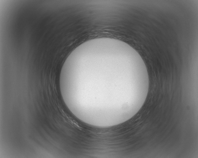 X0000083650566200702120839