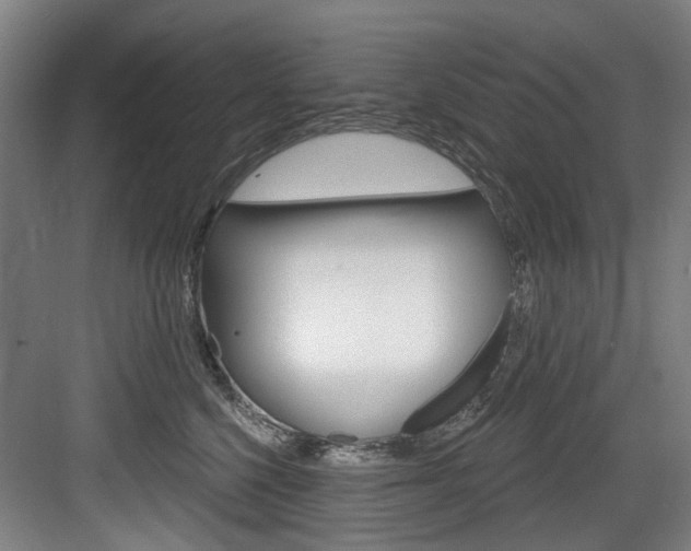 X0000083650568200702120839